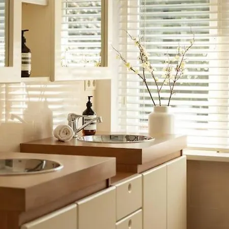 Stylish 12p With Private Pool In The Veluwe
