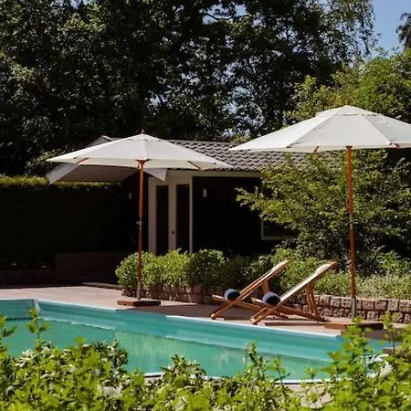 Stylish 12p With Private Pool In The Veluwe